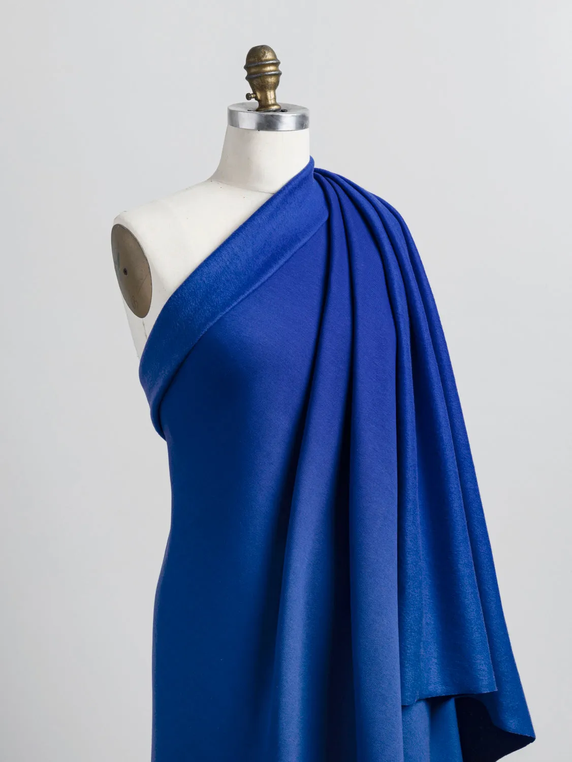 Organic Cotton Fleece - Royal Blue - Swatch